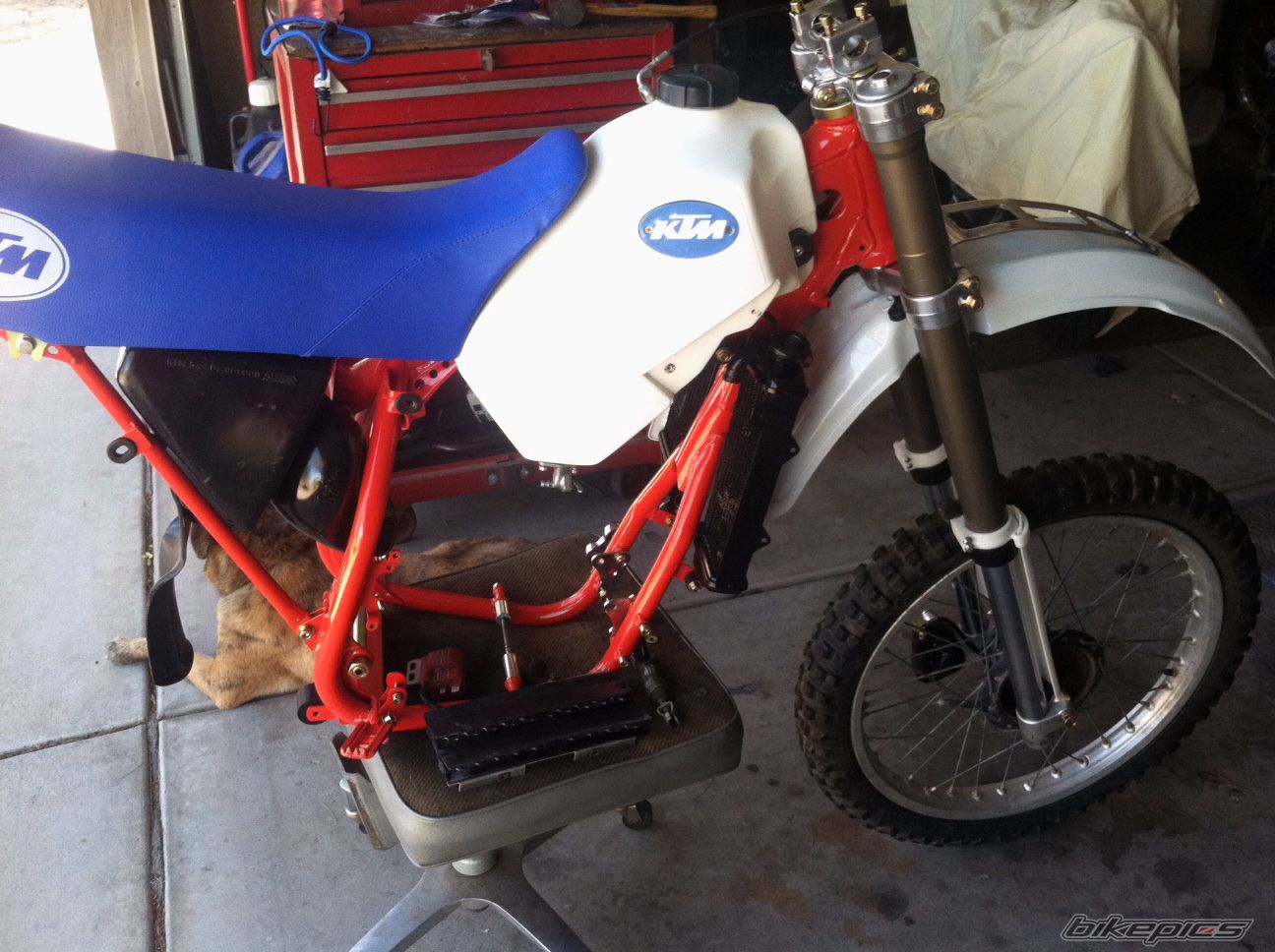 Photo 2668746
