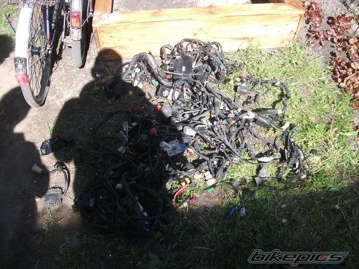 Photo 2668751