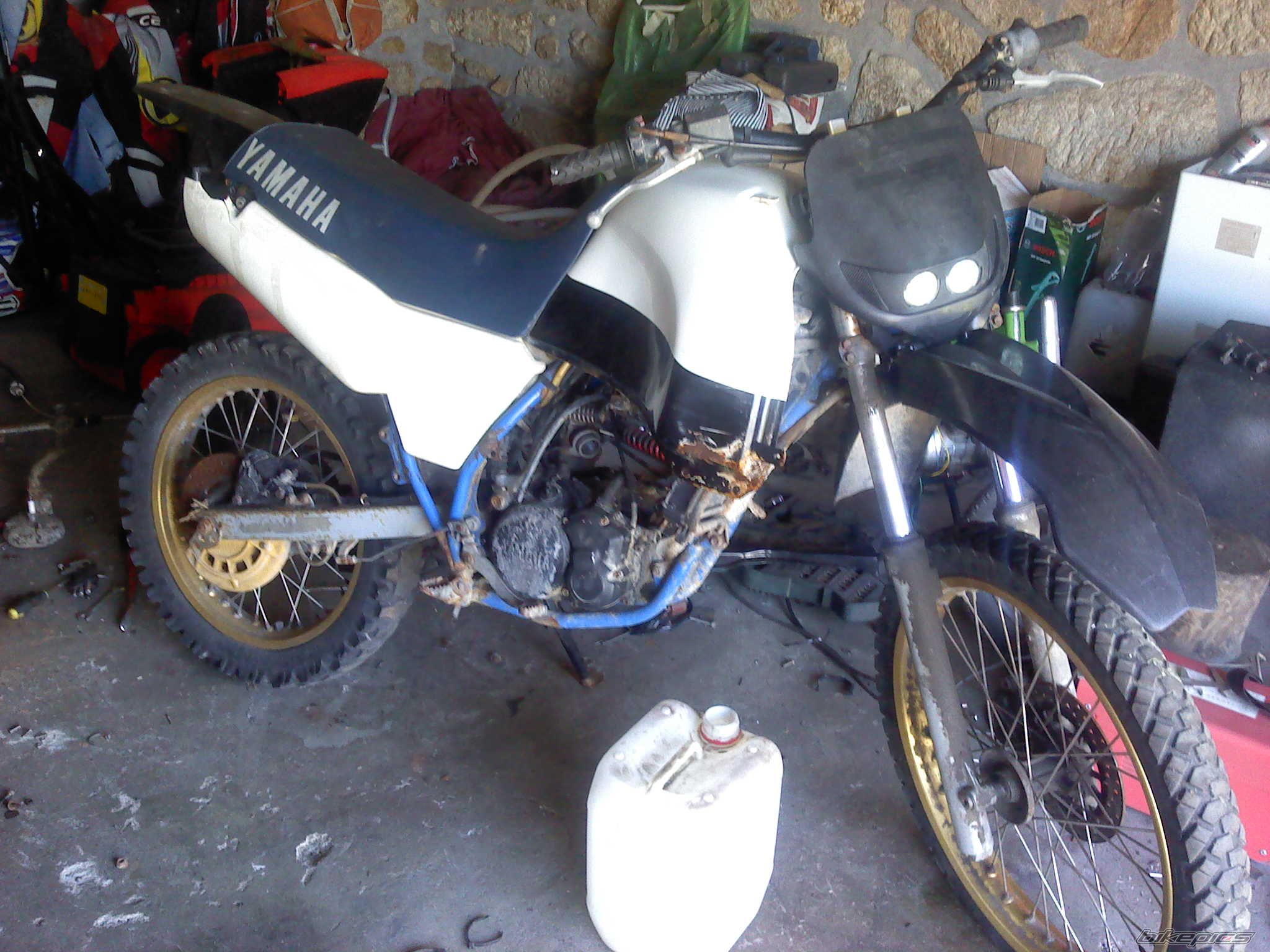 Photo 2668786