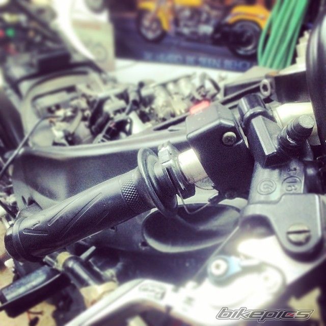 Photo 2668889