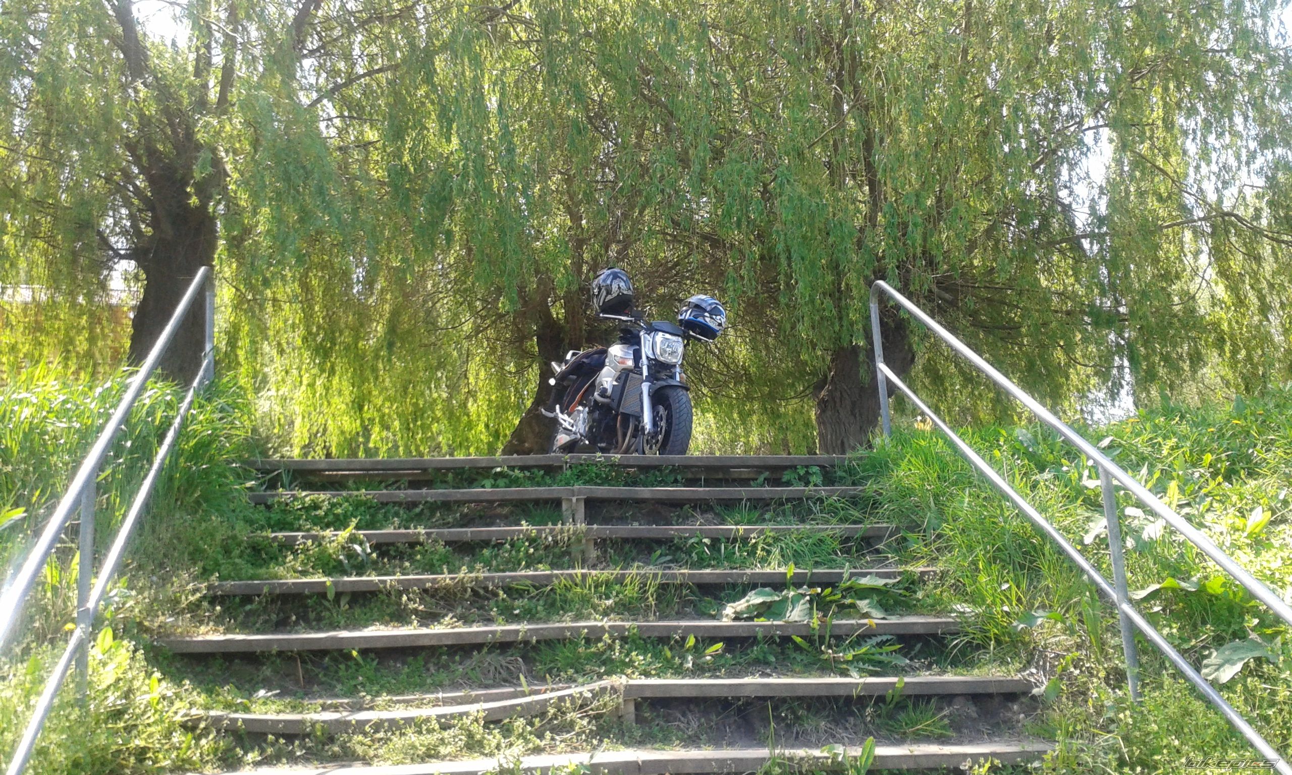 Photo 2668906