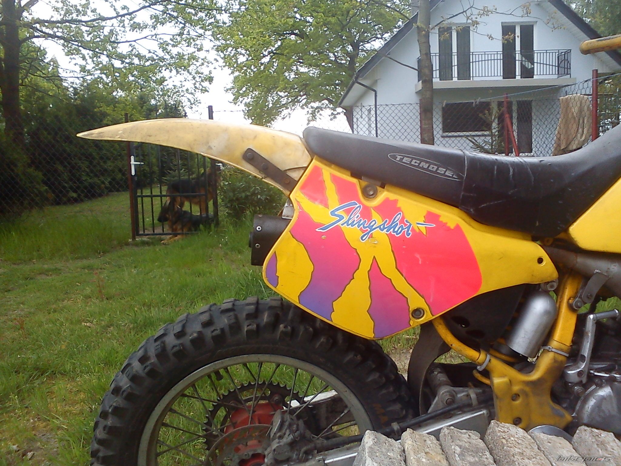 Photo 2668981