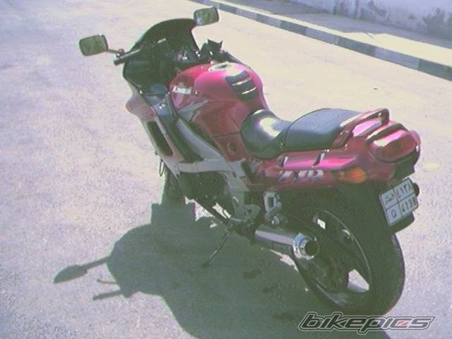Photo 2669