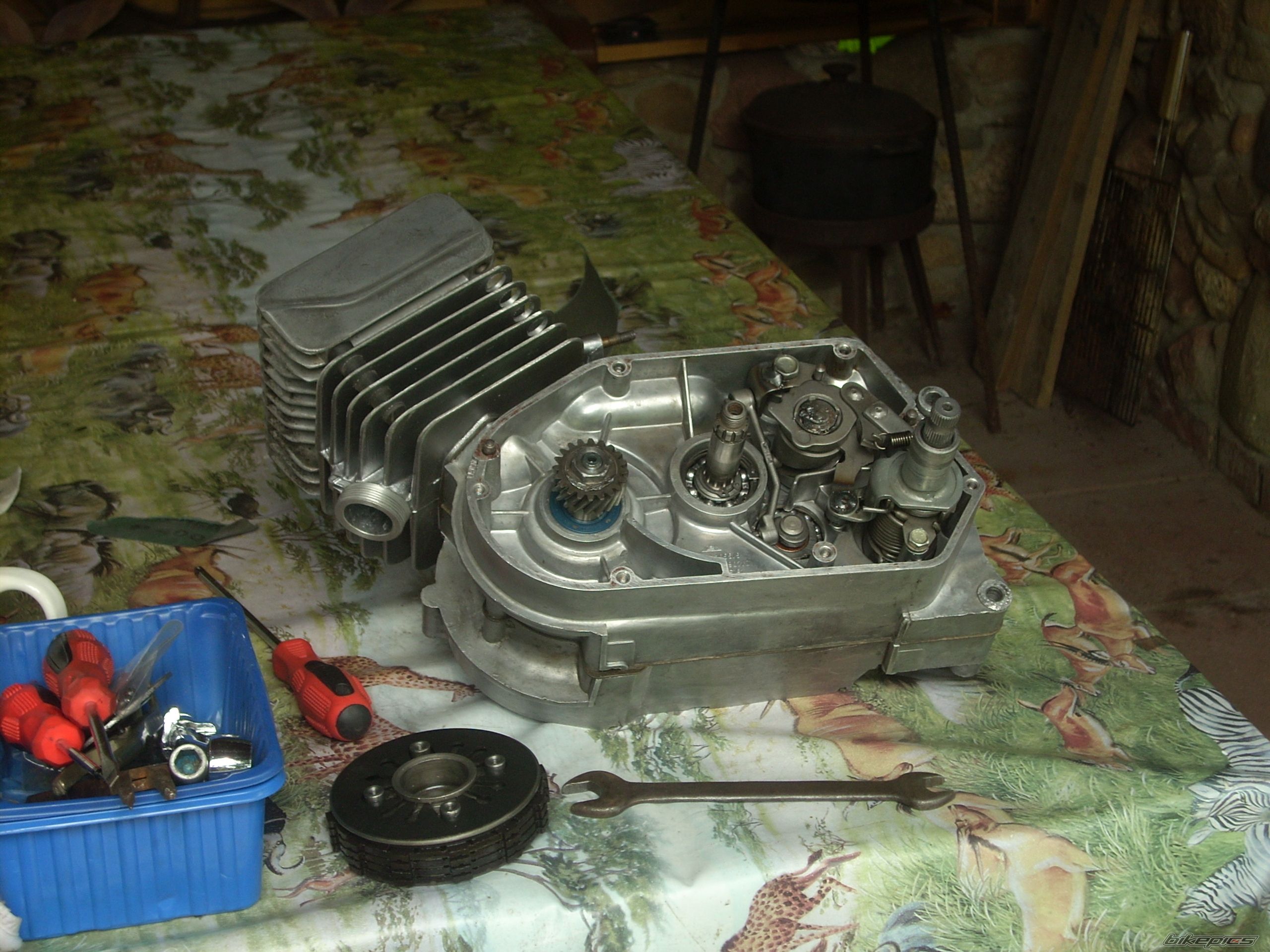 Photo 2669019