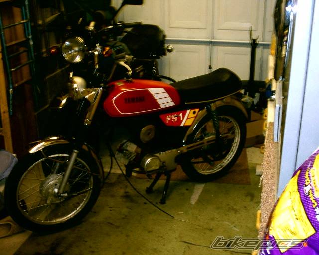 Photo 266904