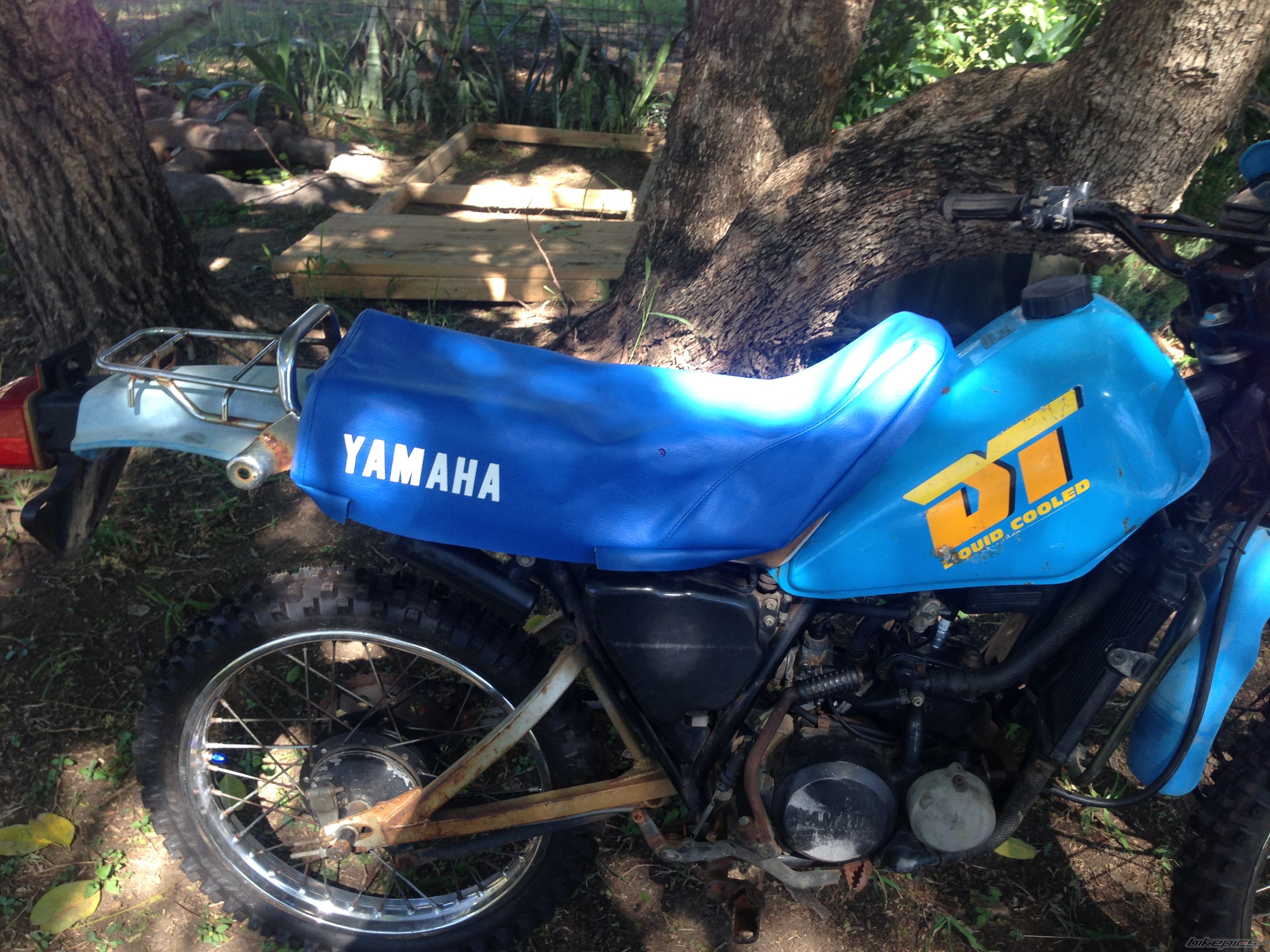 Photo 2669043