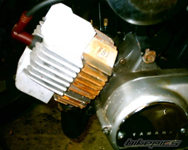 Photo 266908