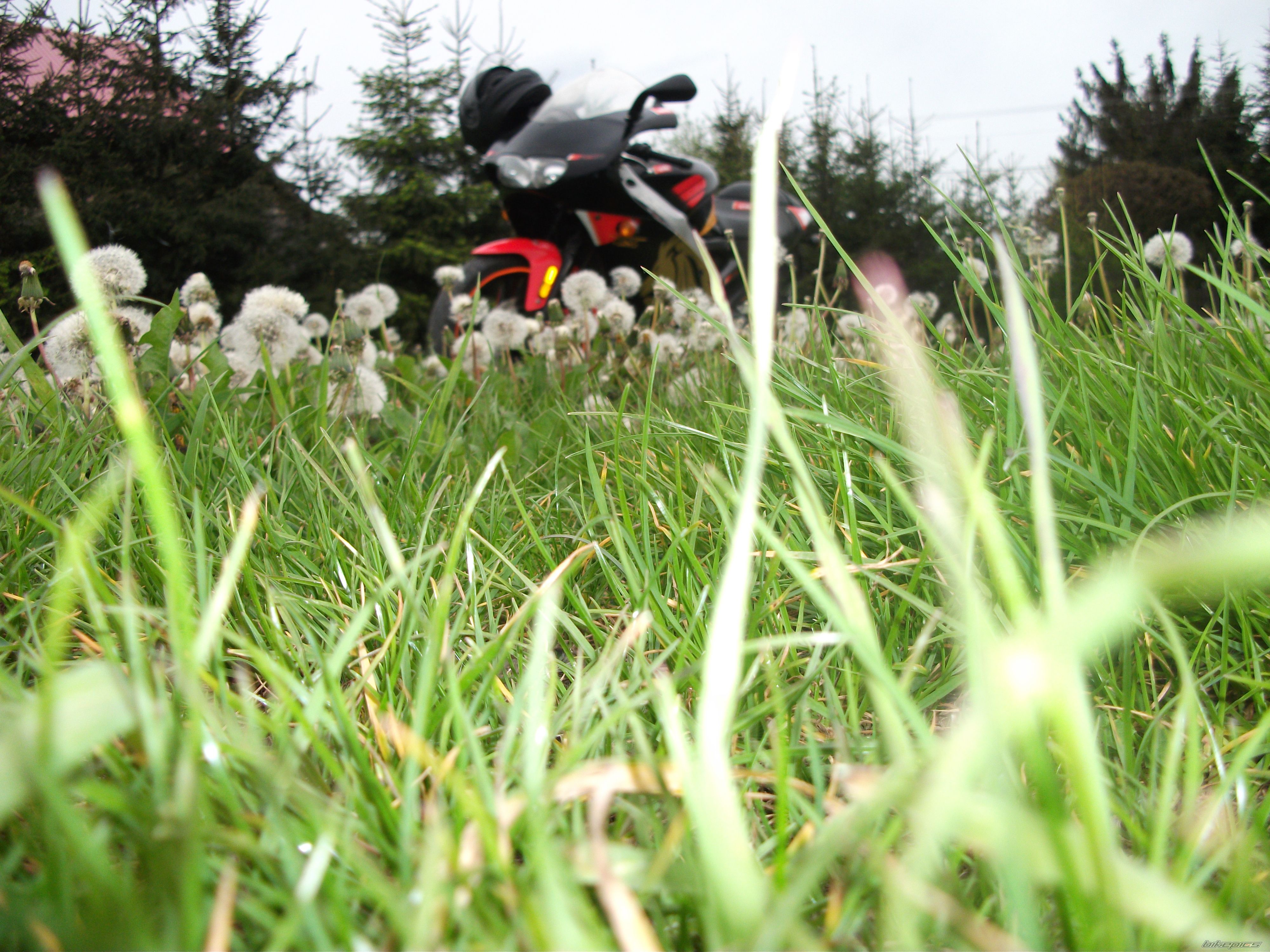 Photo 2669094