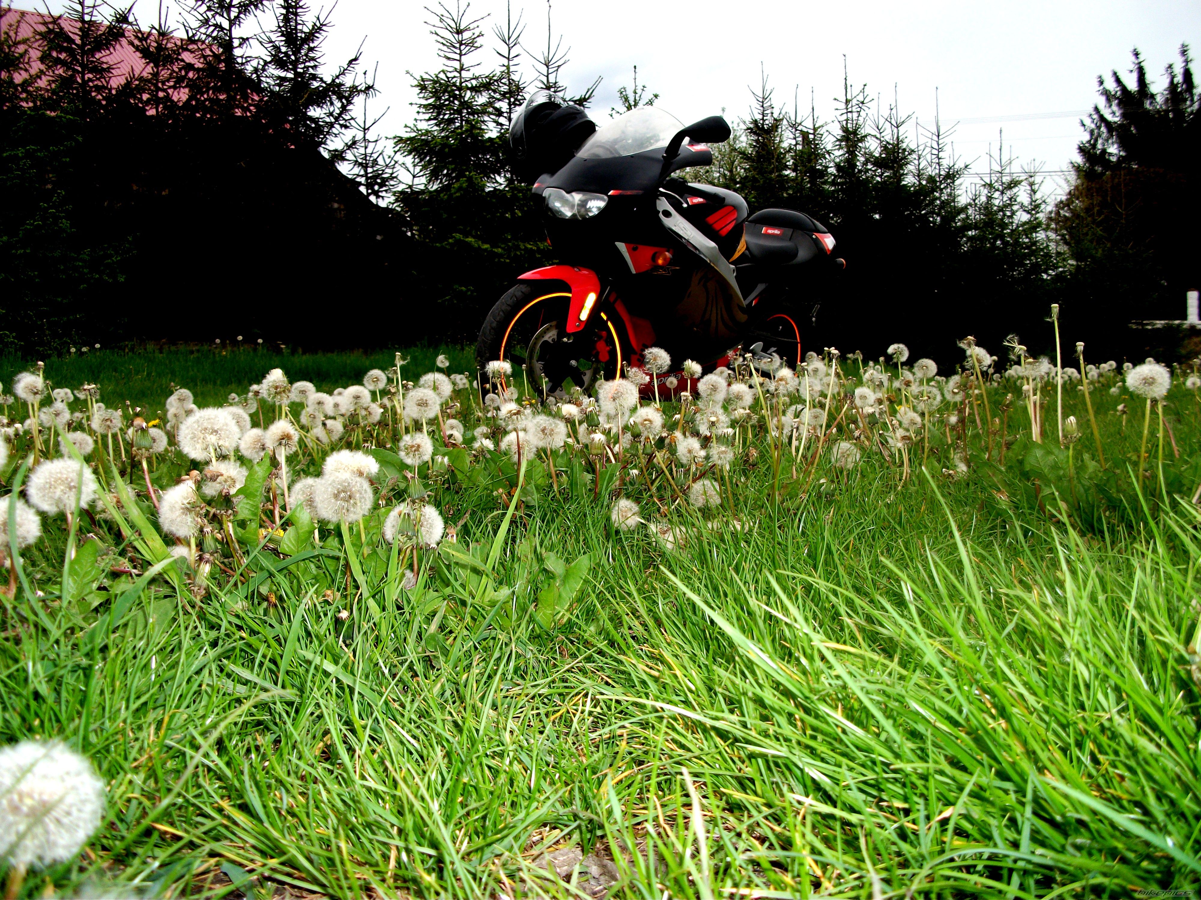 Photo 2669095