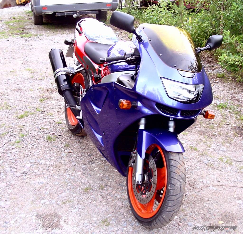 Photo 266911