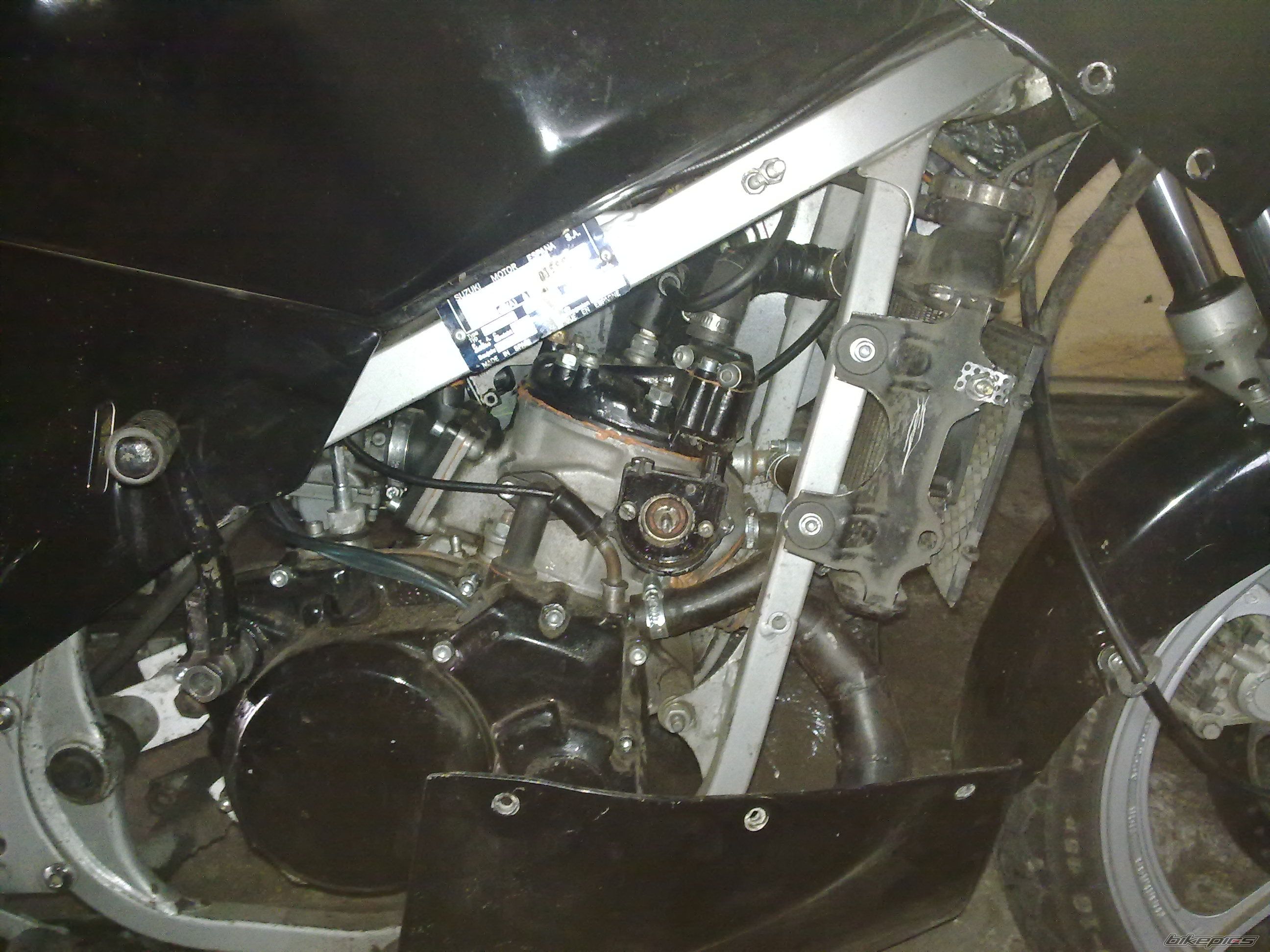 Photo 2669294