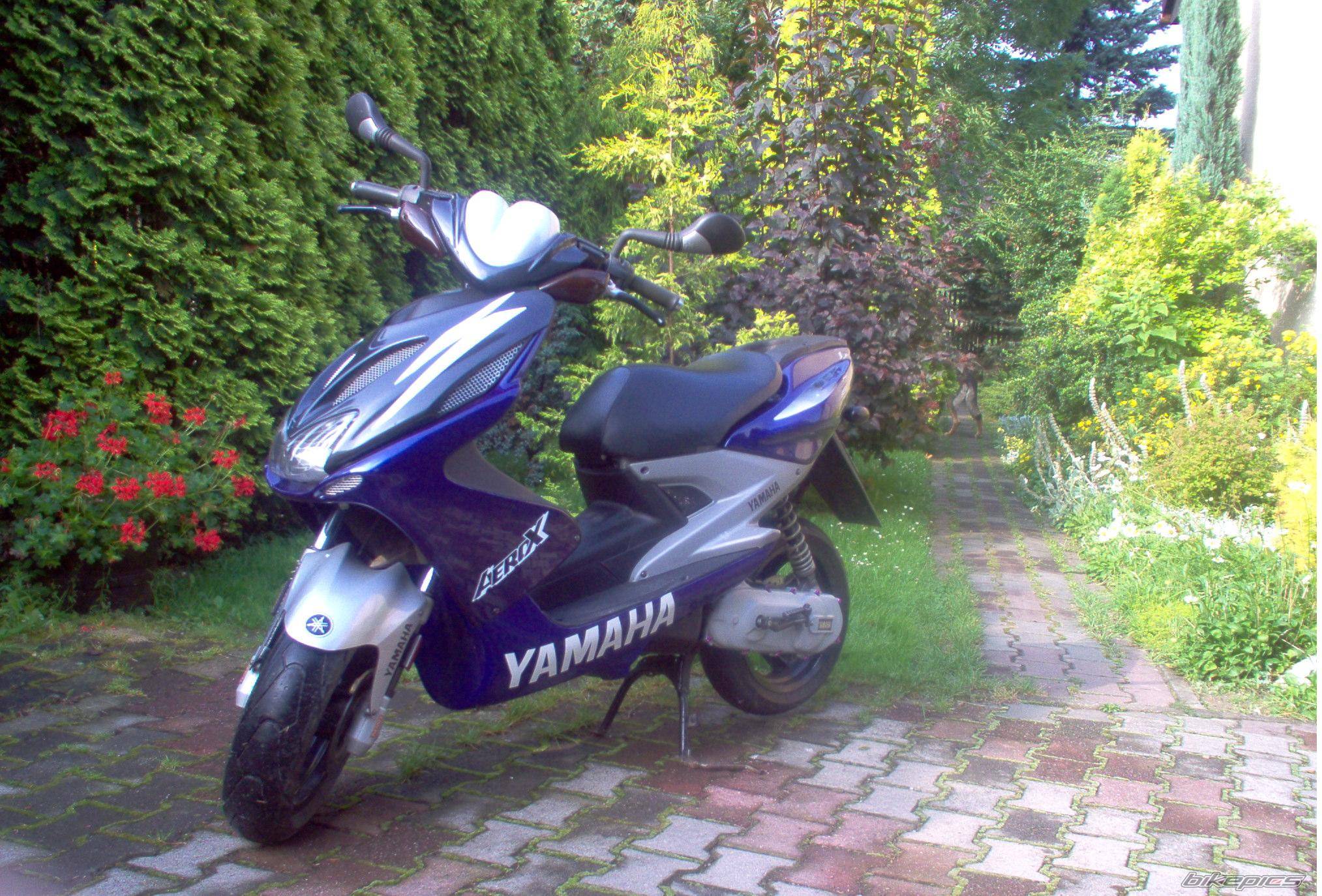 Photo 266930
