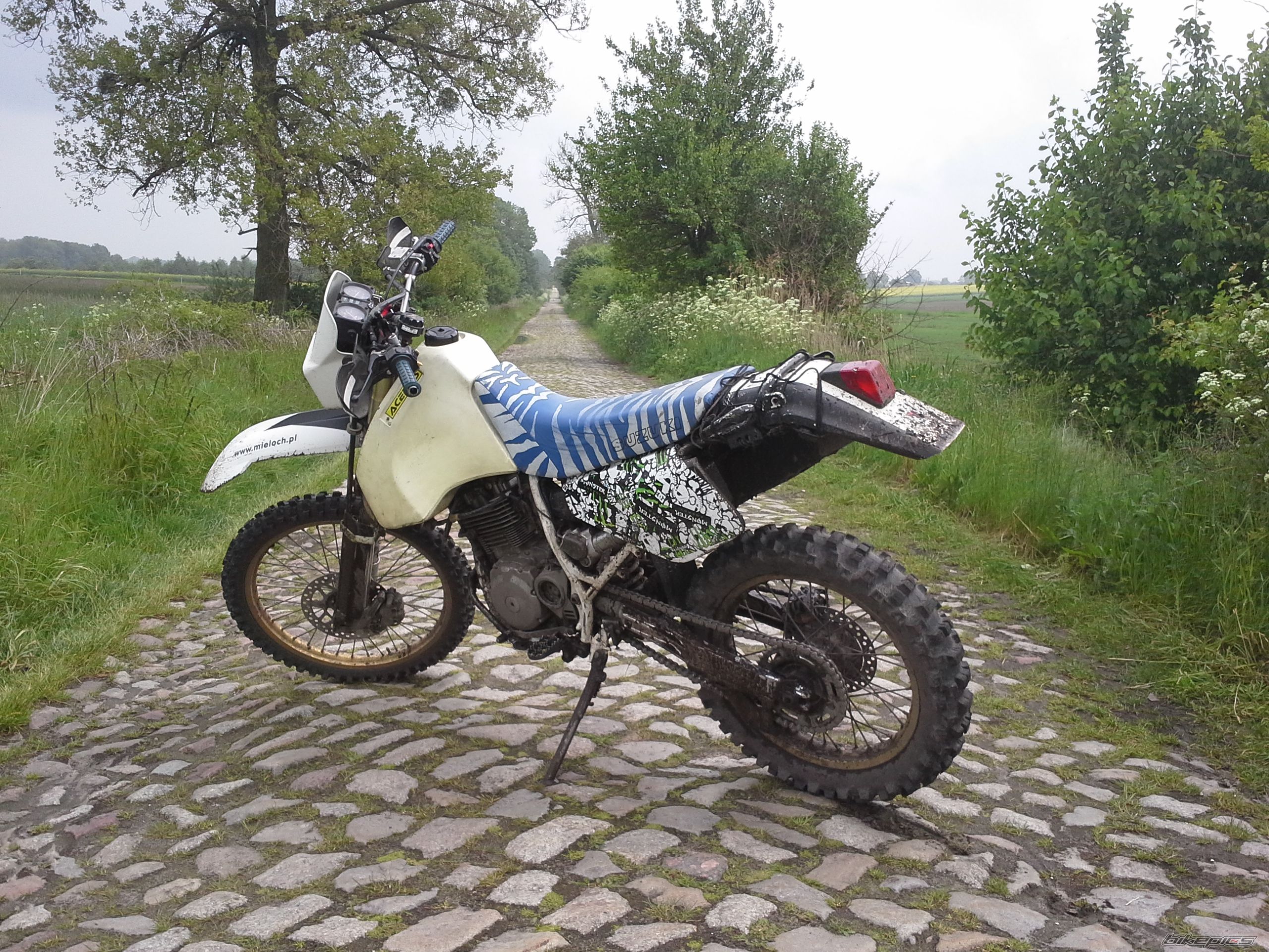 Photo 2669337