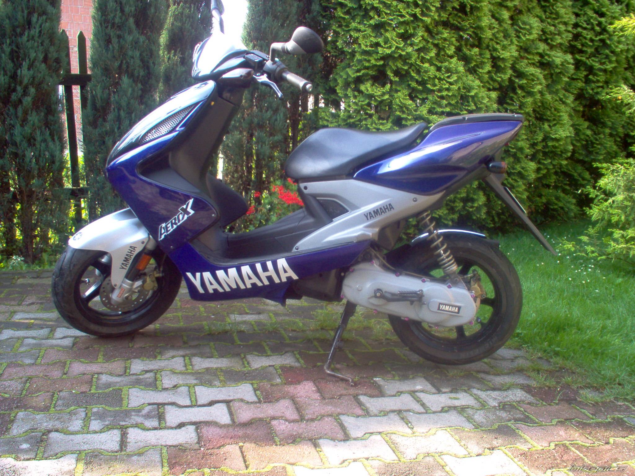Photo 266935