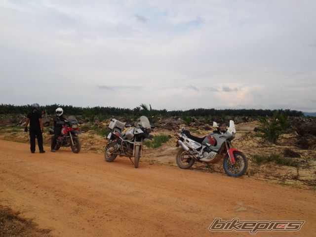 Photo 2669353