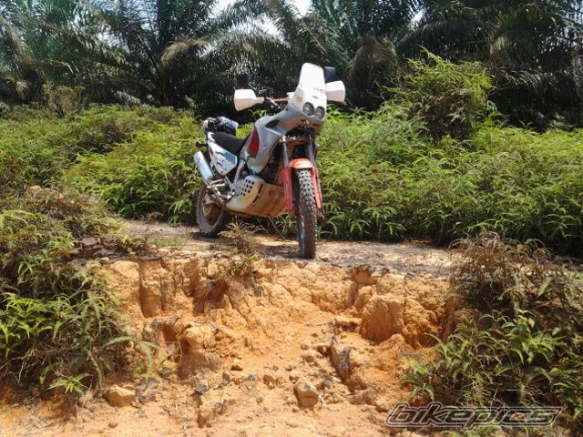 Photo 2669371