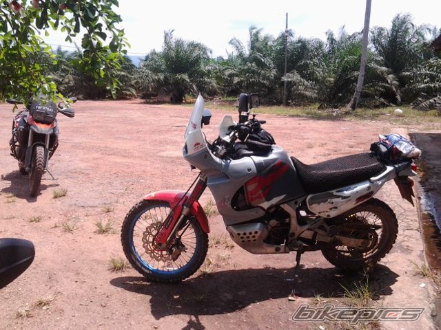 Photo 2669375