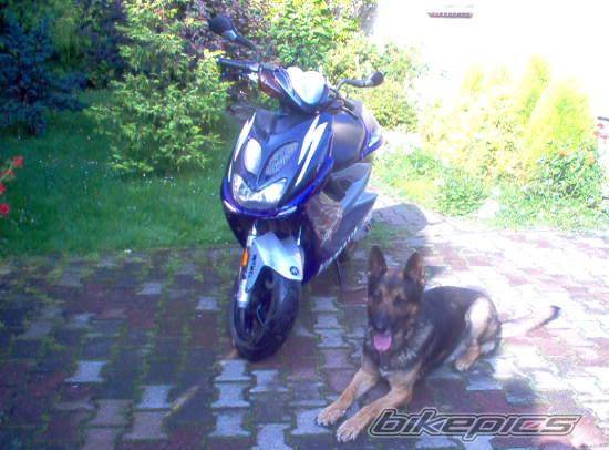 Photo 266939