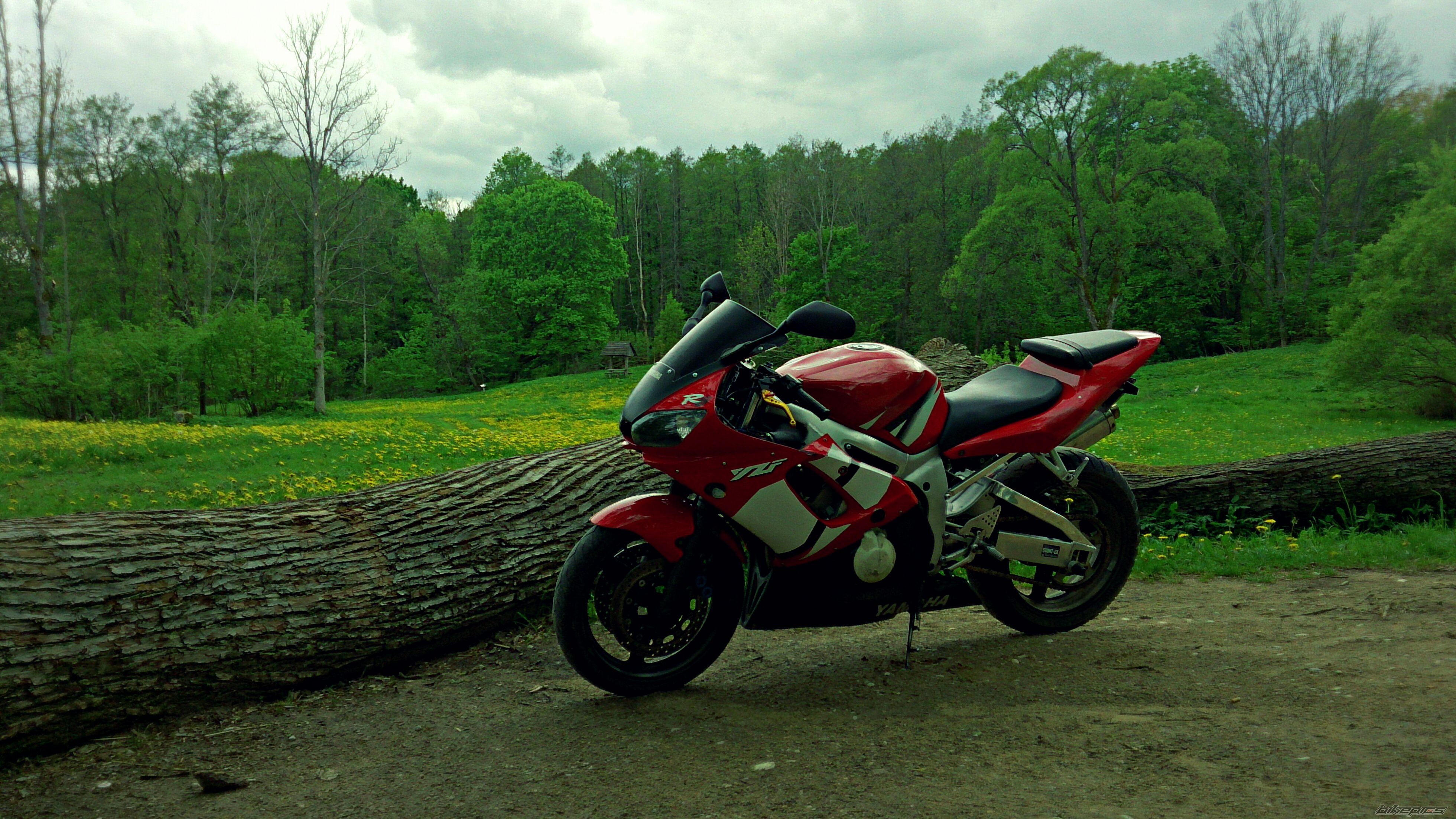 Photo 2669411