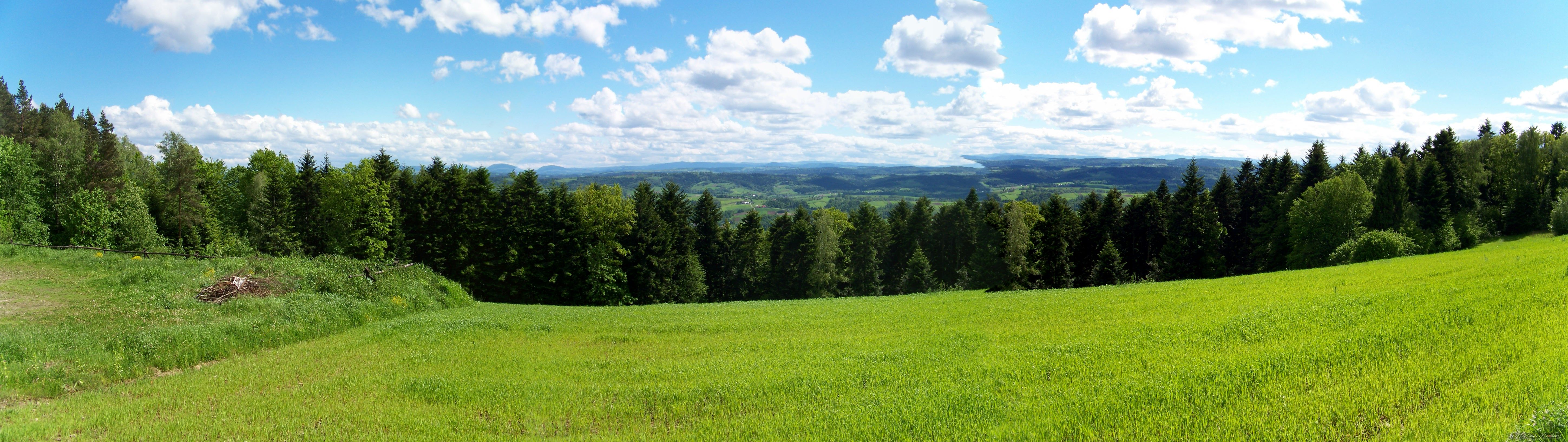 Photo 2669444