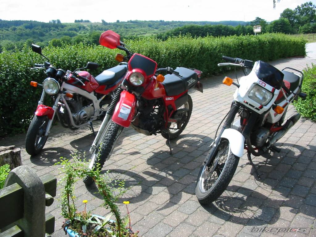 Bike Photo 266947