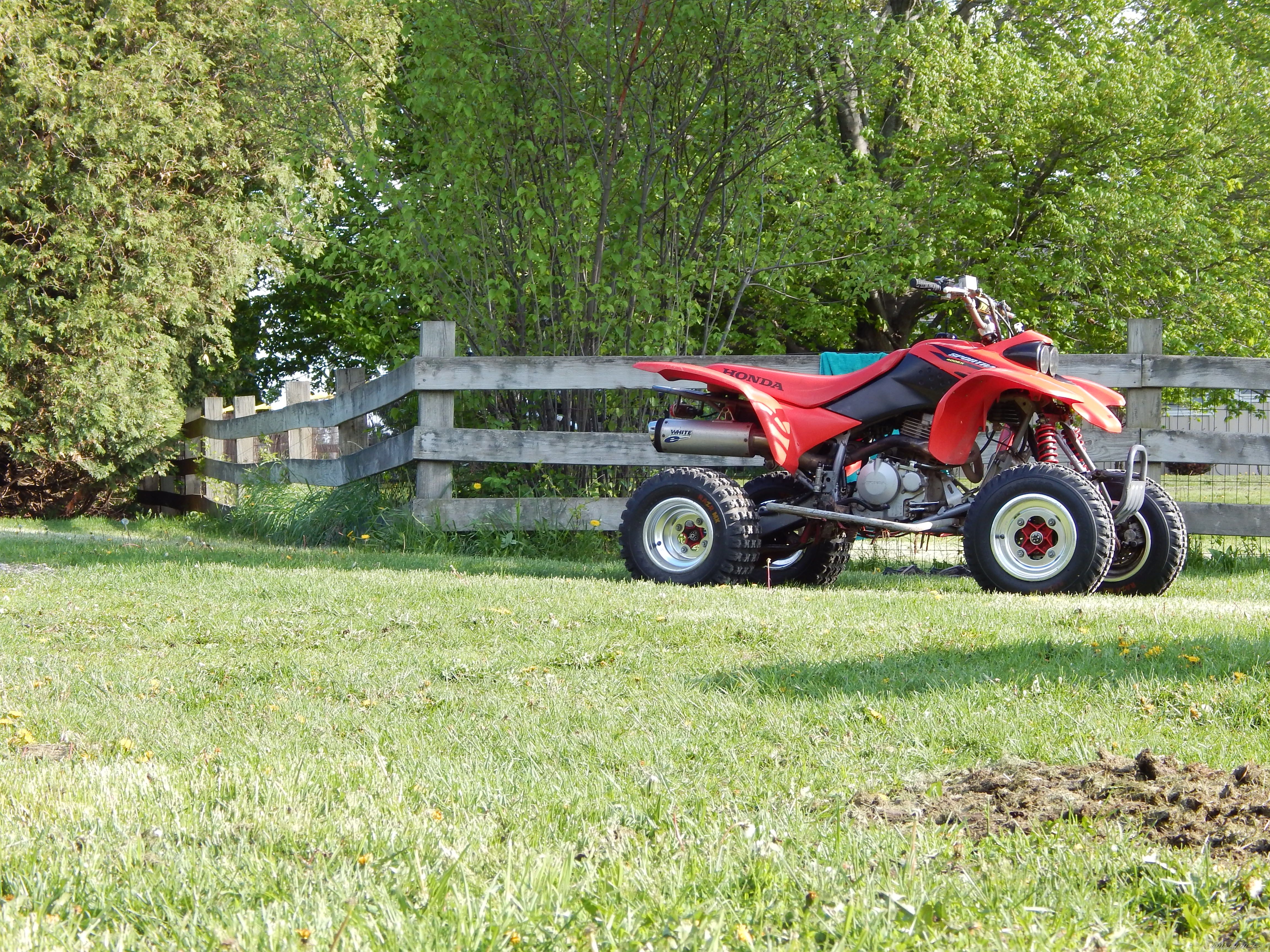 Photo 2669516