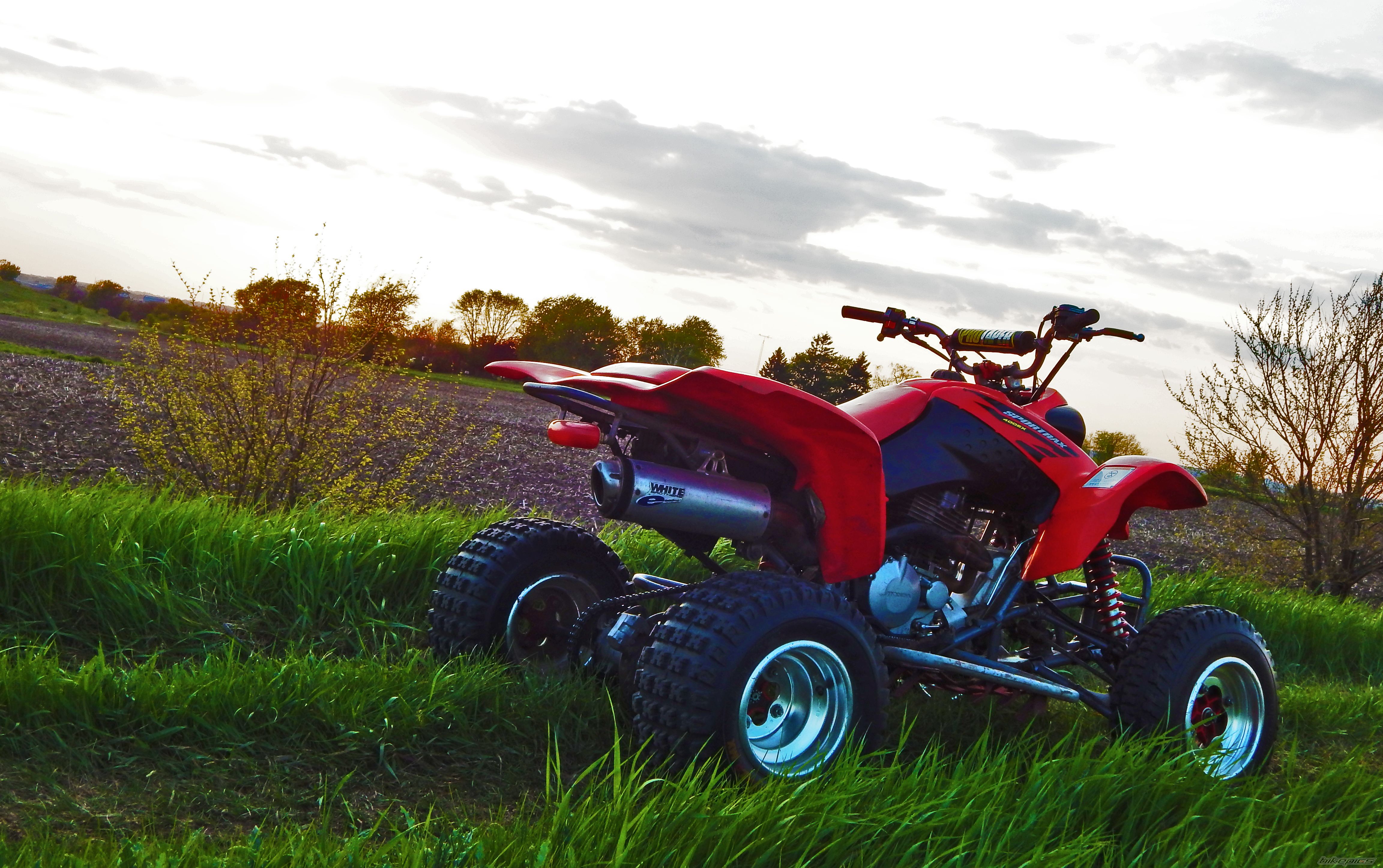 Photo 2669519