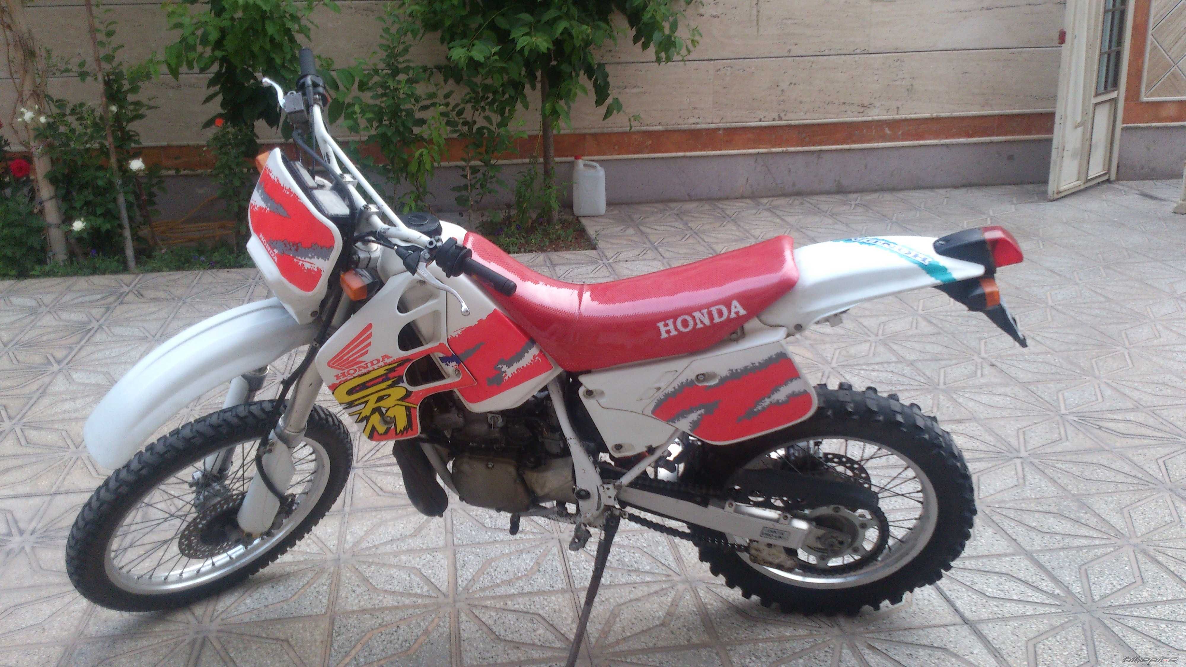 Photo 2669525