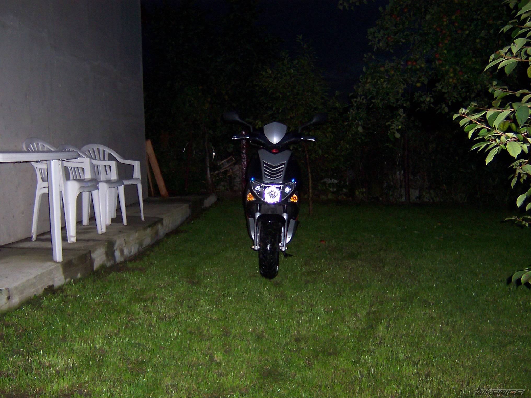 Photo 266956