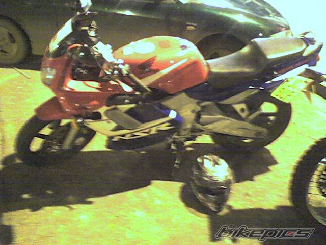 Photo 266959