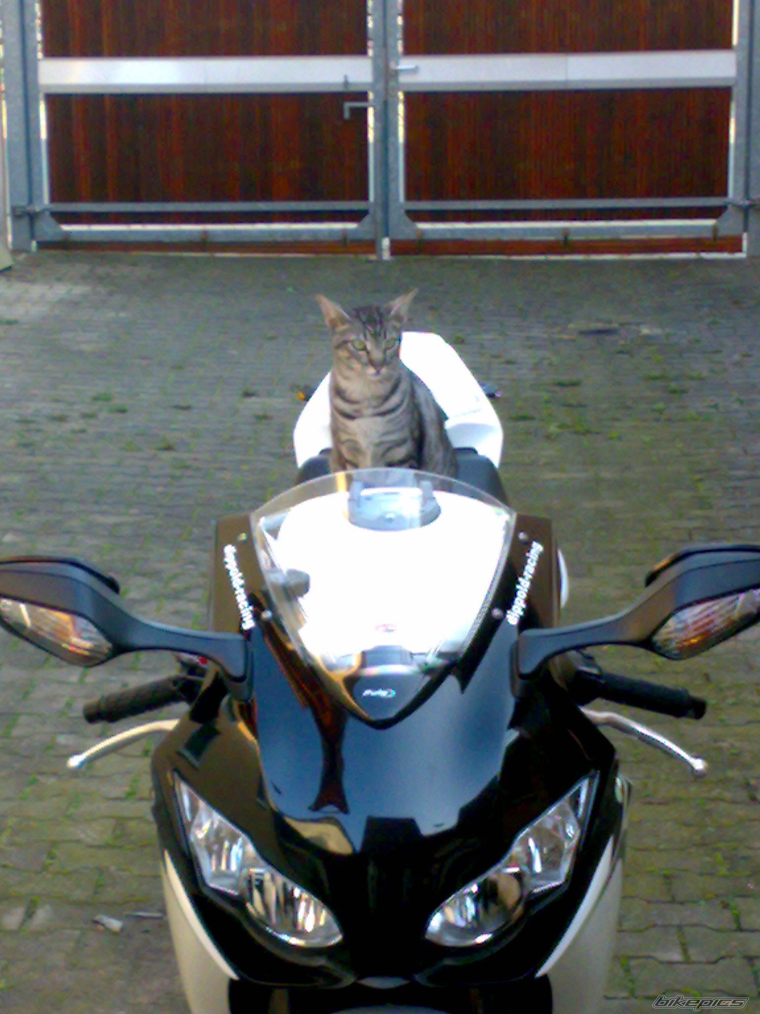 Bike Photo 2669661