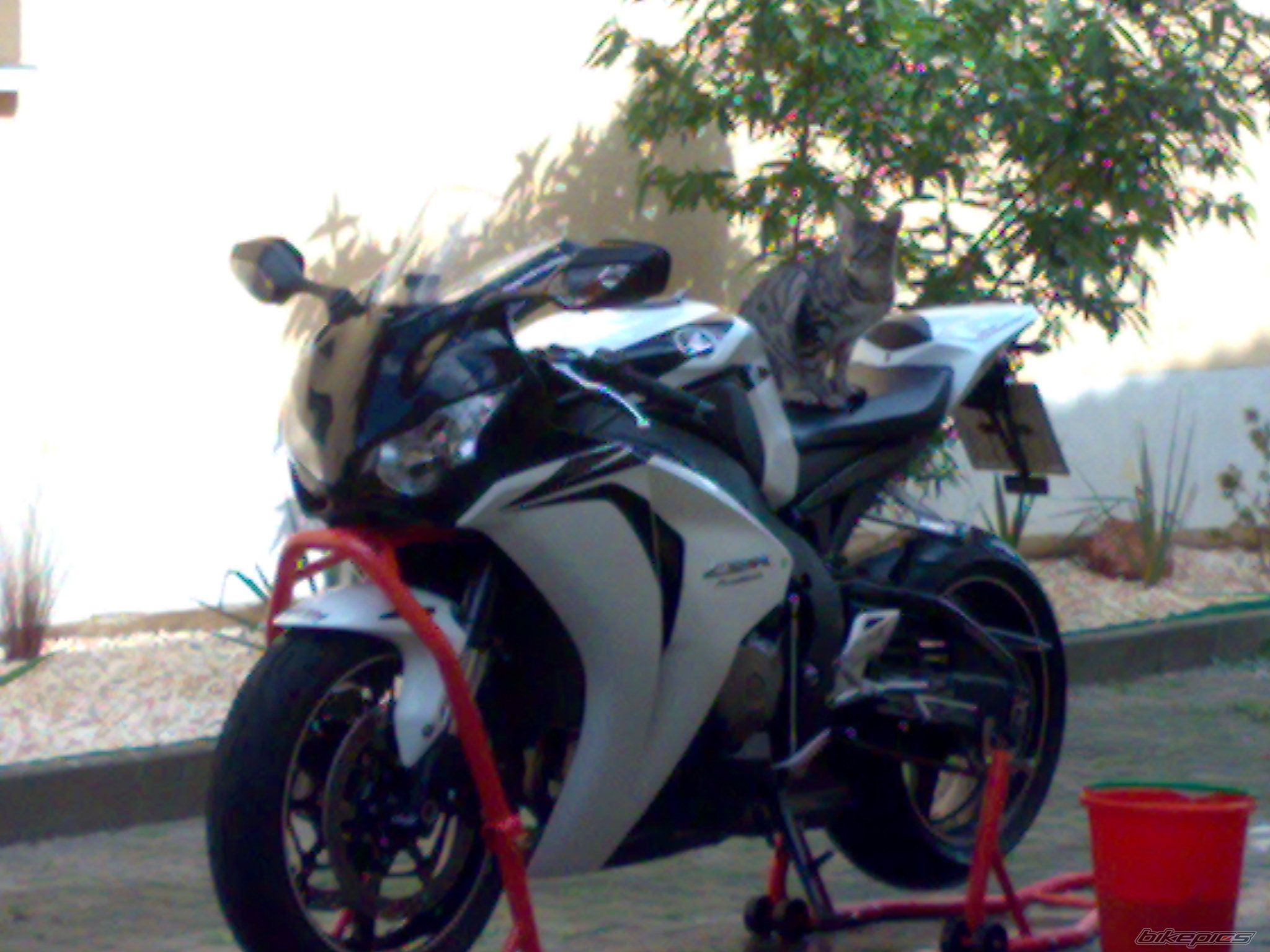 Bike Photo 2669662