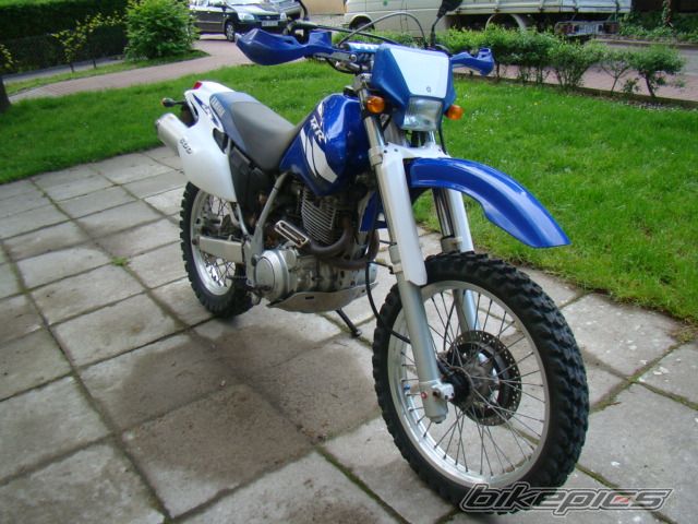 Photo 2669731