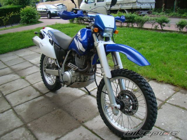 Photo 2669736