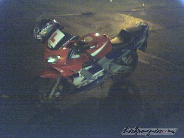 Photo 266974