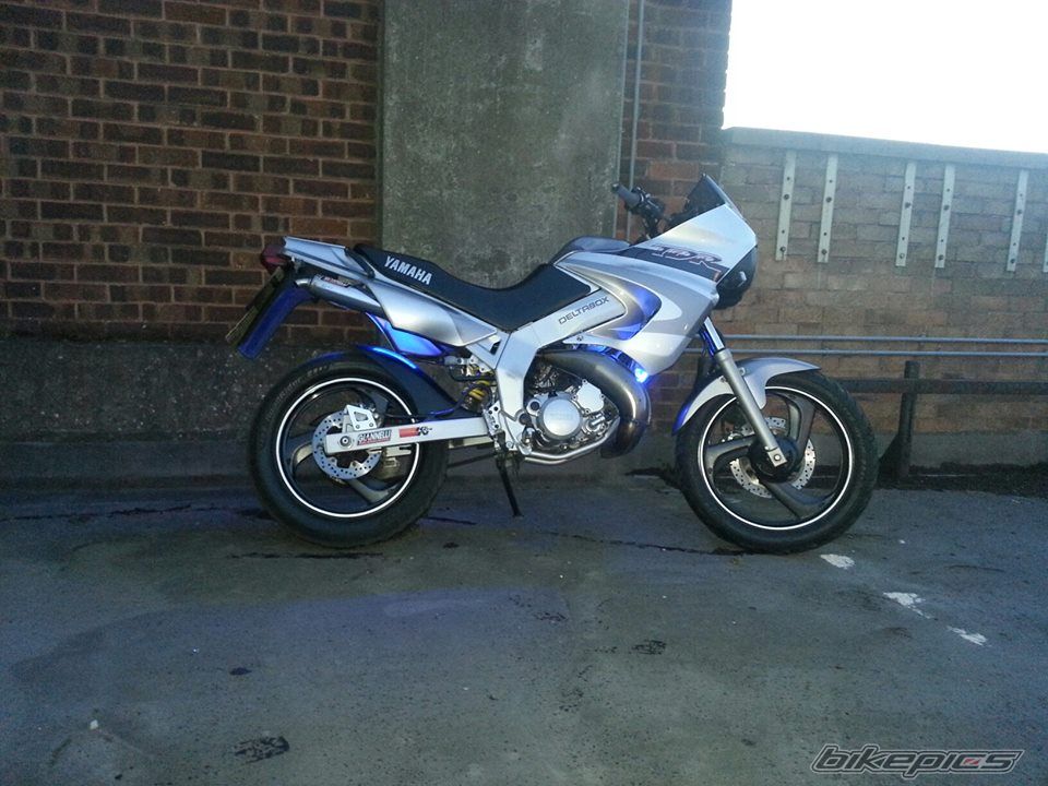 Photo 2669749