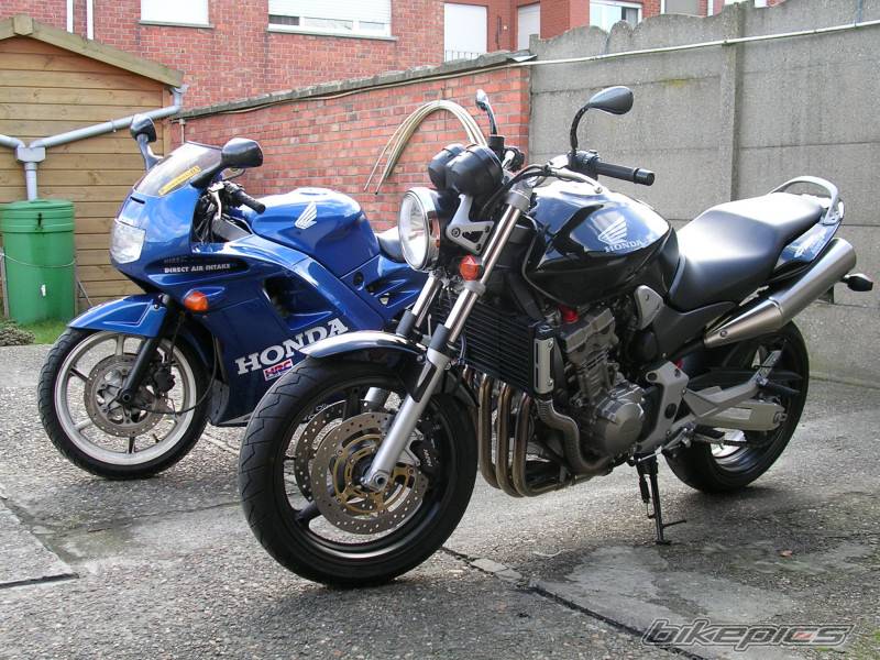 Photo 266982