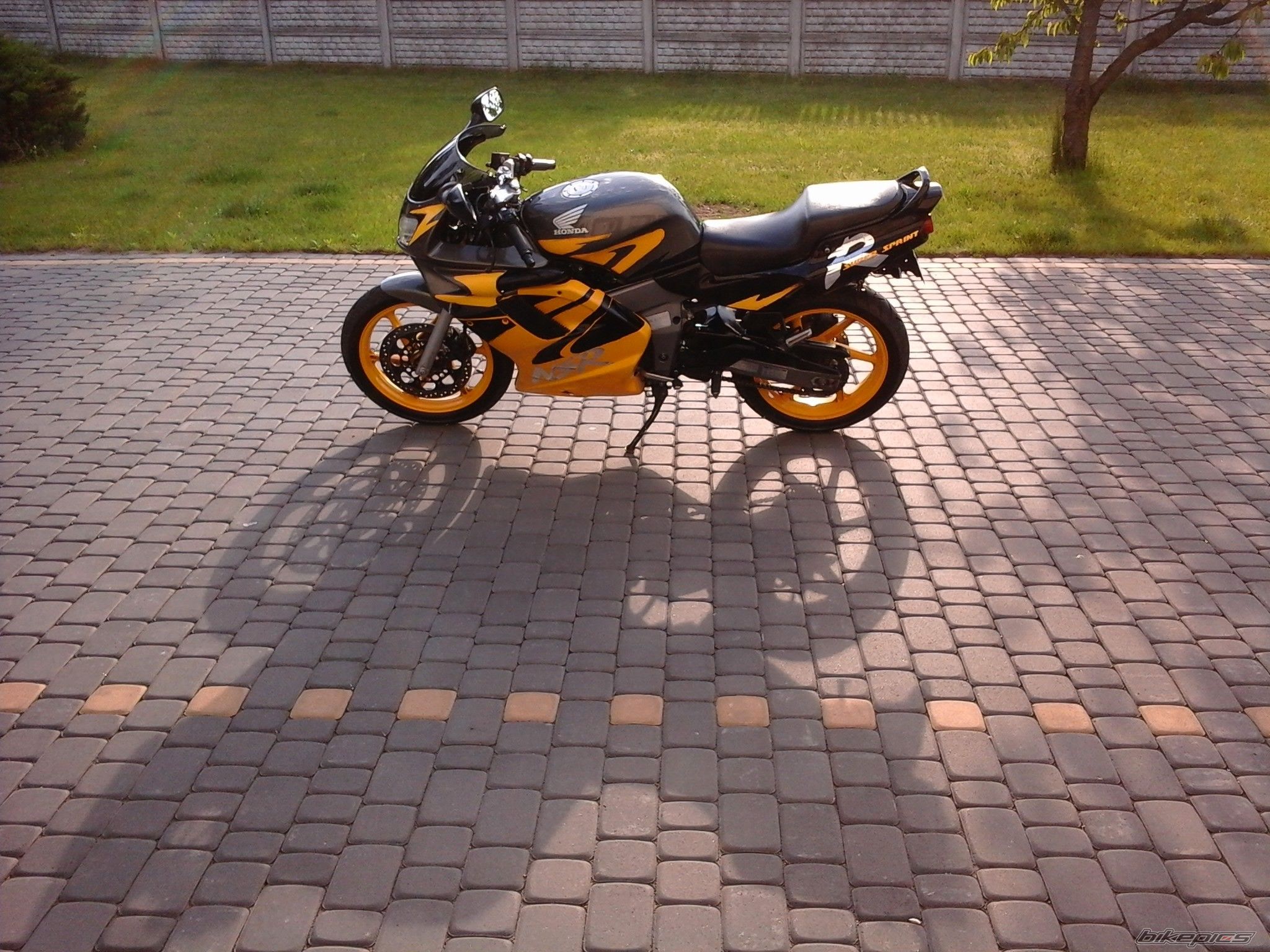 Photo 2670008