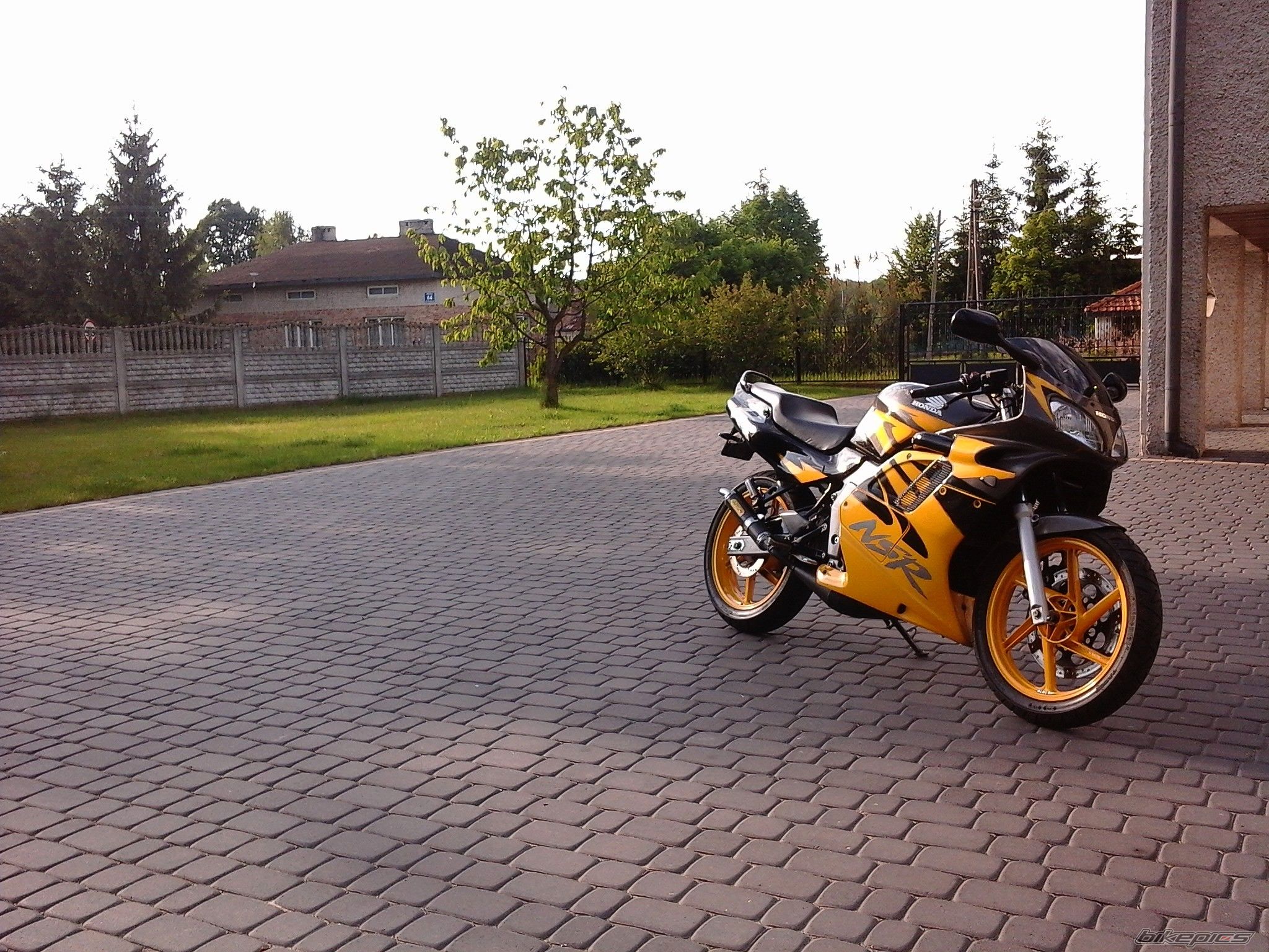 Photo 2670009