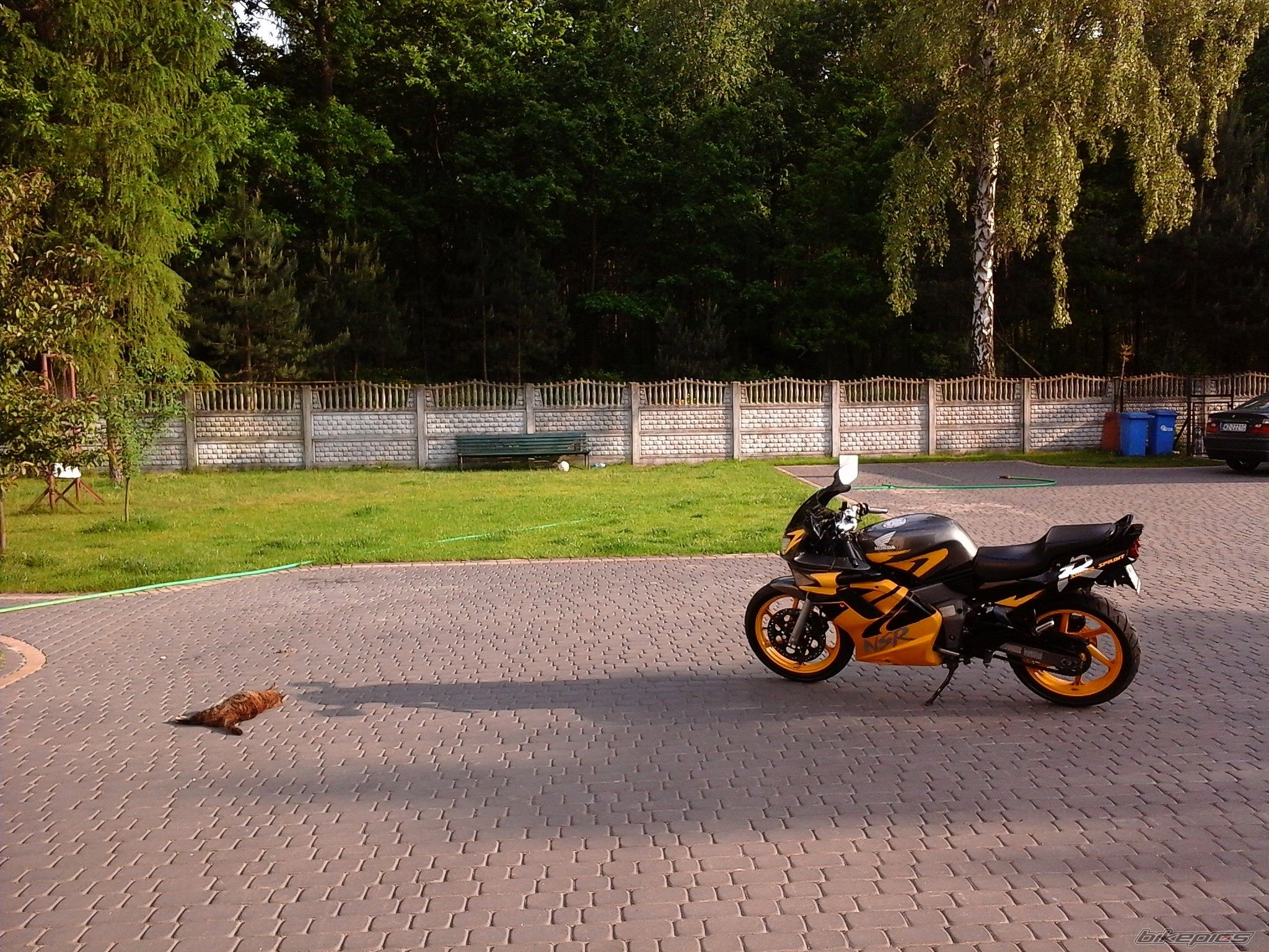 Photo 2670011