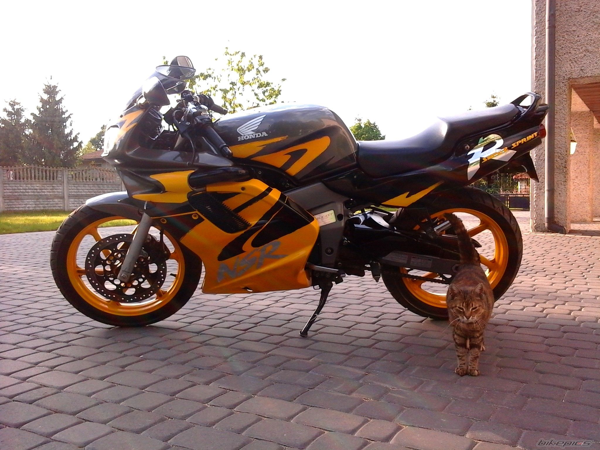 Photo 2670013
