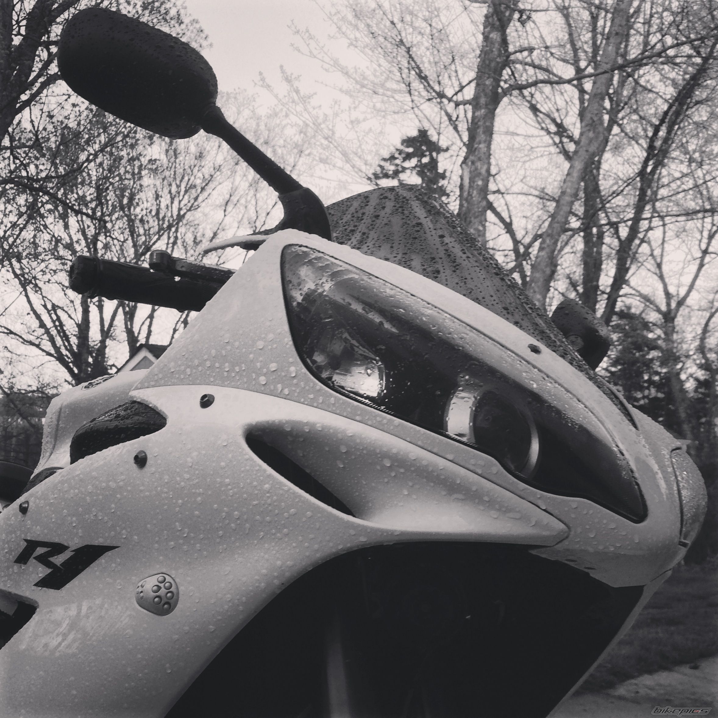 Photo 2670214