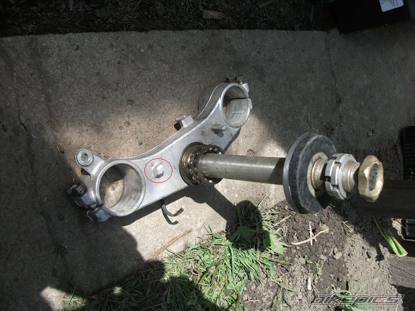 Photo 2670233