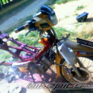 Photo 2670282