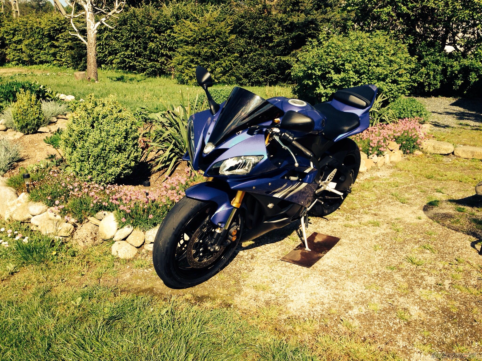 Photo 2670432