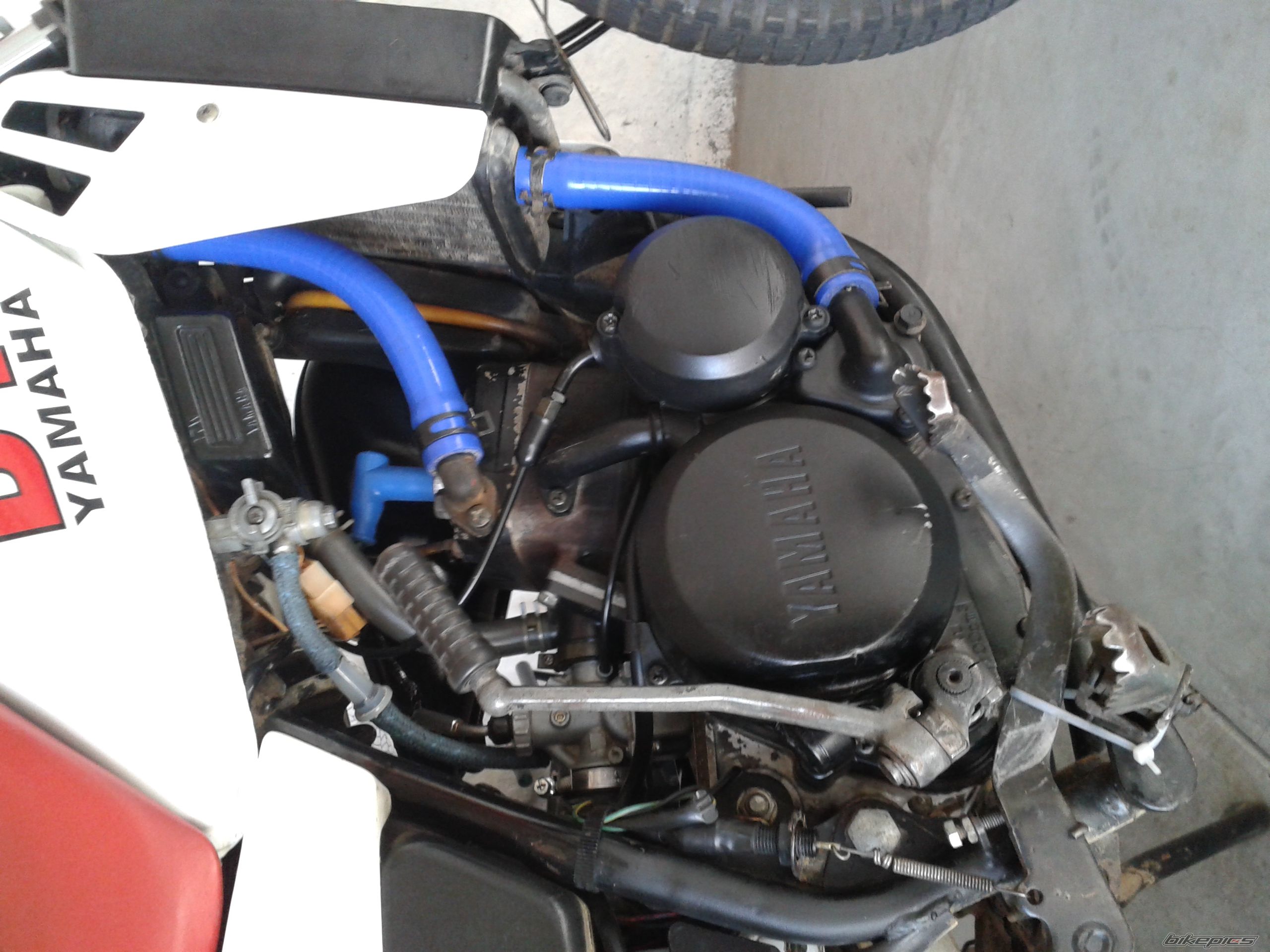 Bike Photo 2670459