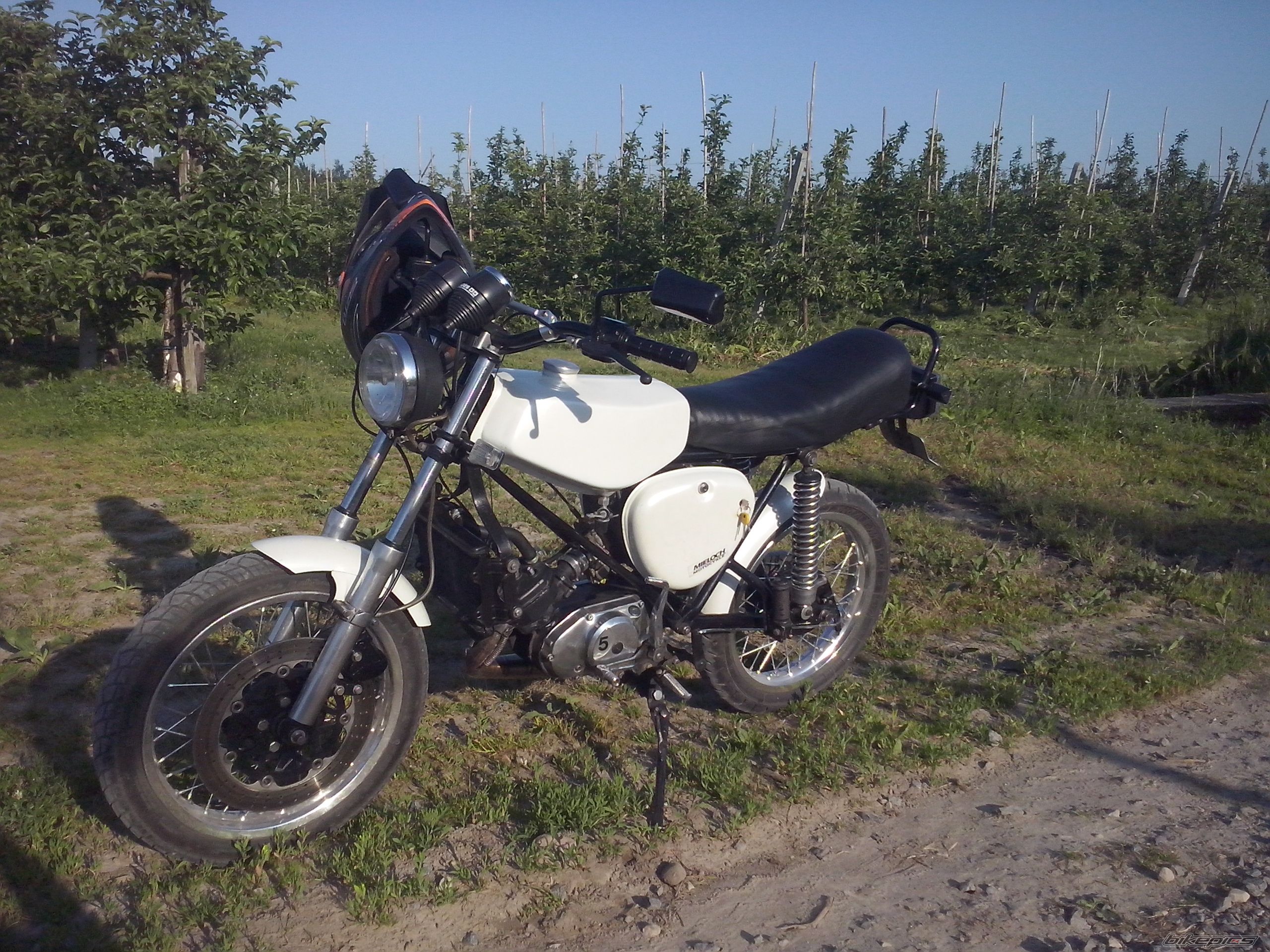 Photo 2670484