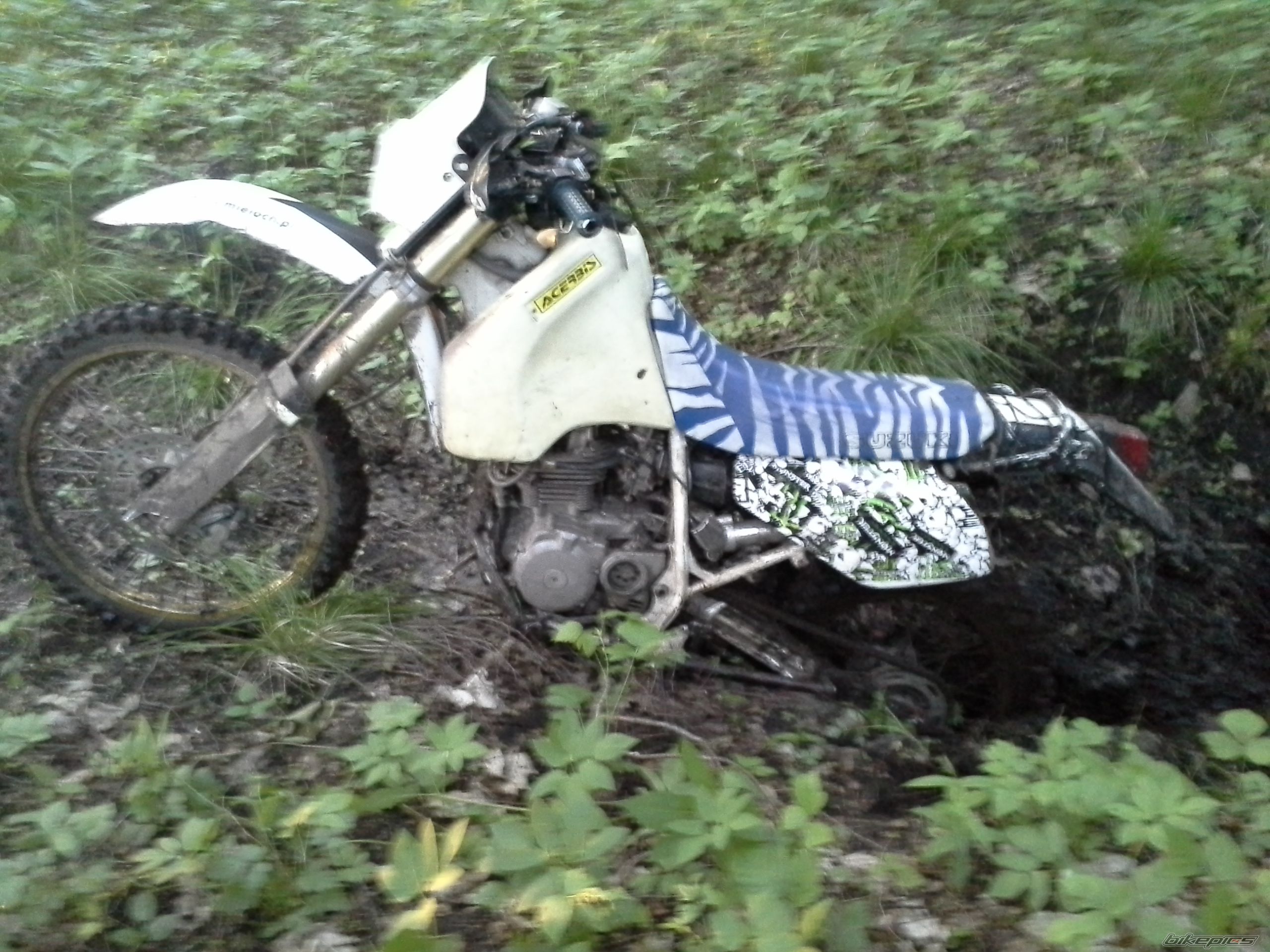 Photo 2670512