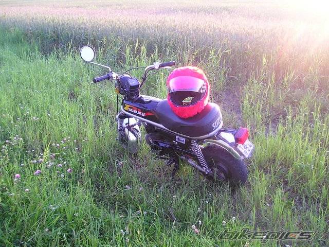 Photo 267062