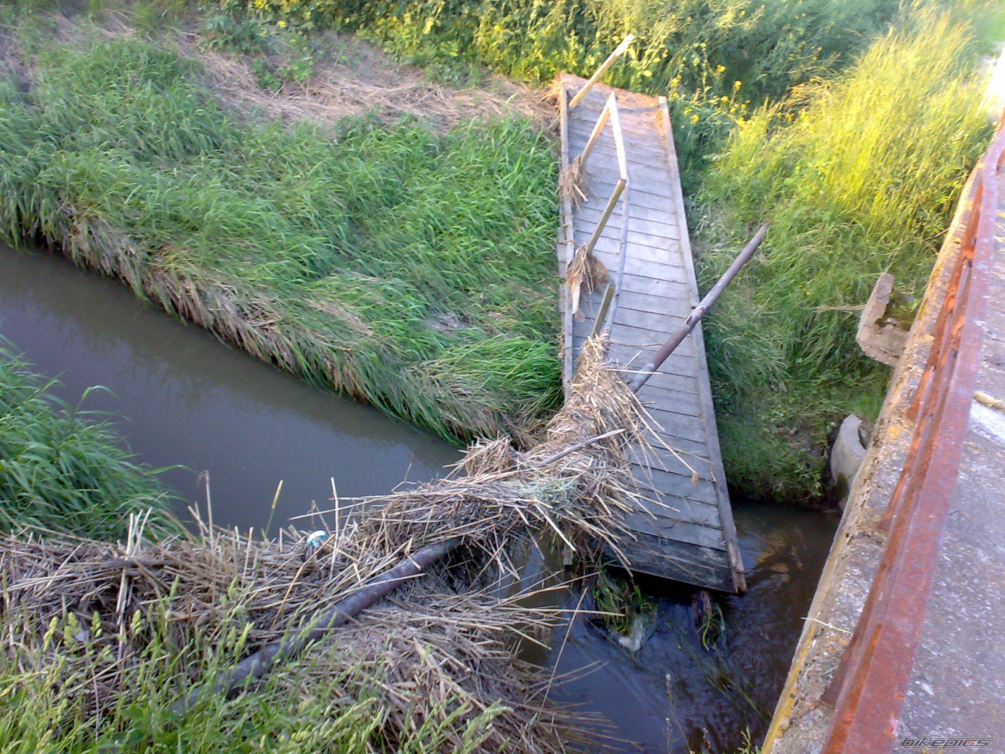 Photo 2670681